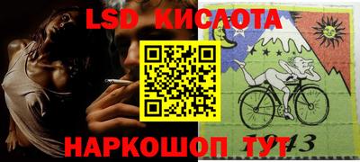 шишки Бийск