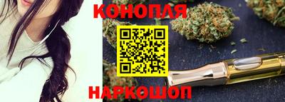 шишки Бийск