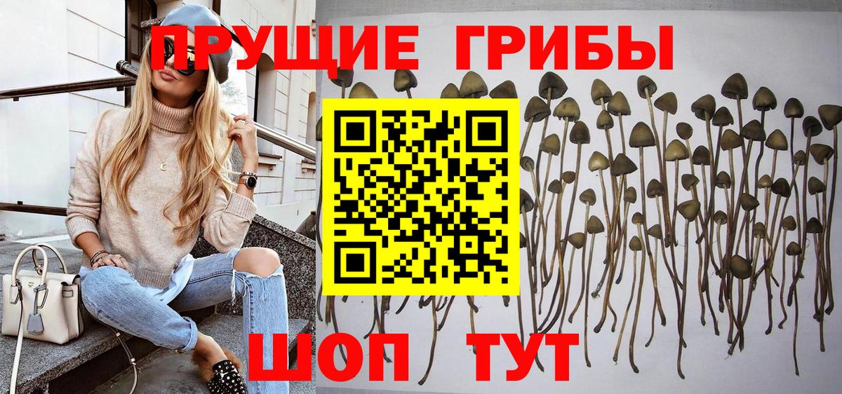 Псилоцибиновые грибы мухоморы Йошкар-Ола