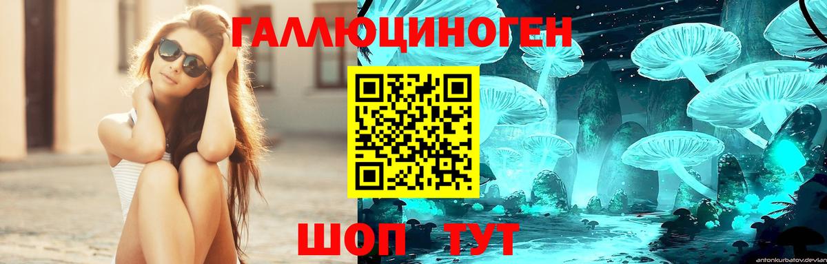 Йошкар-Ола  Псилоцибиновые грибы Magic Shrooms  Вход с VPN 